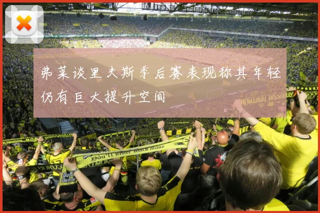 弗莱谈里夫斯季后赛表现称其年轻仍有巨大提升空间